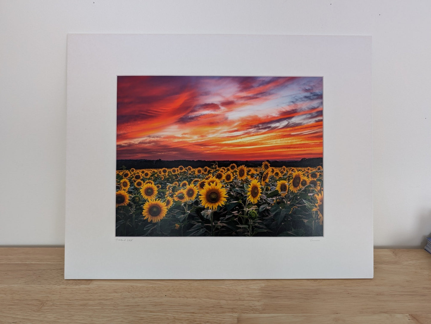 16"x20" Matted Print: Fields of Gold - Allie Richards Photography