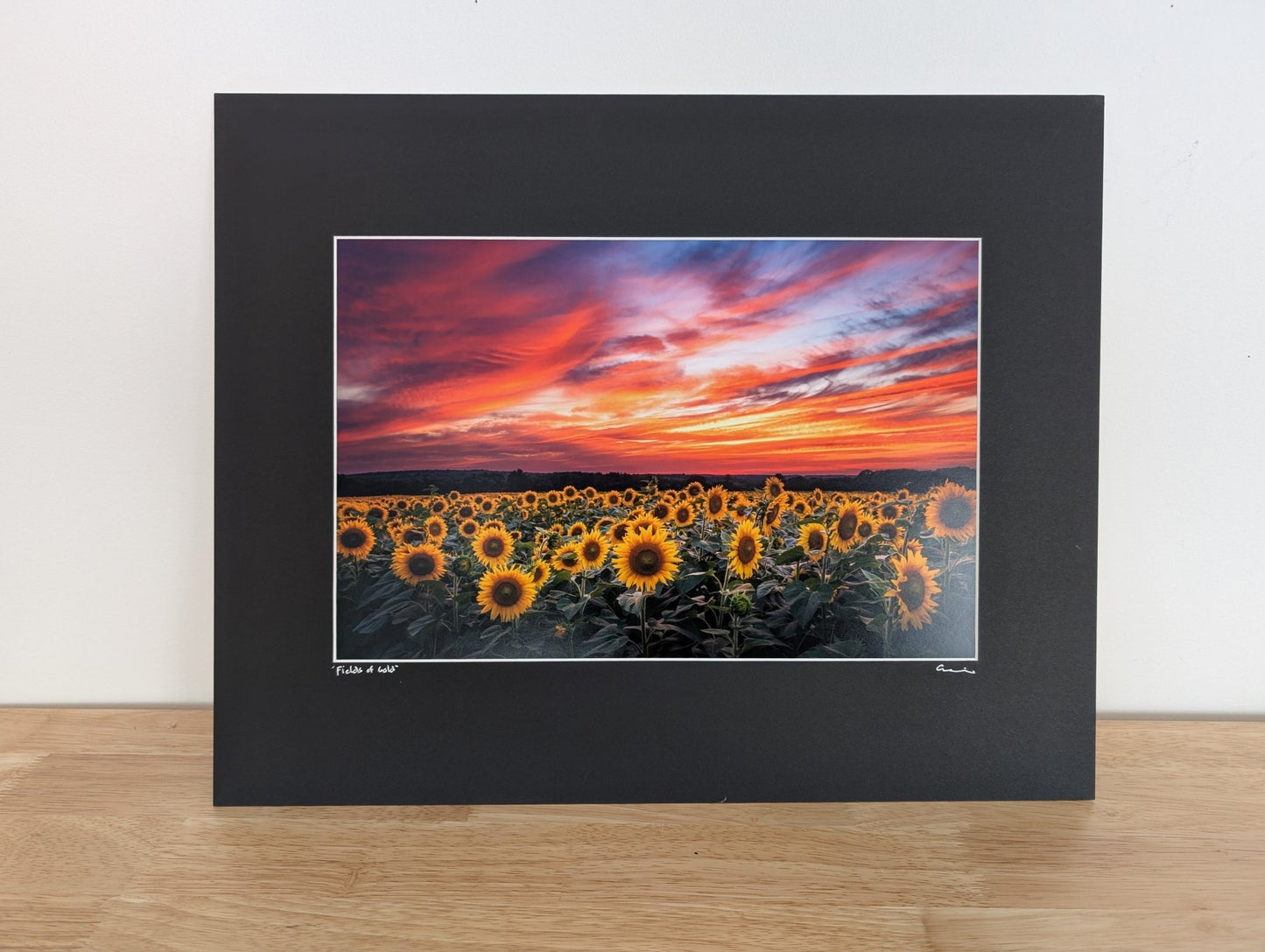 16"x20" Matted Print: Fields of Gold - Allie Richards Photography