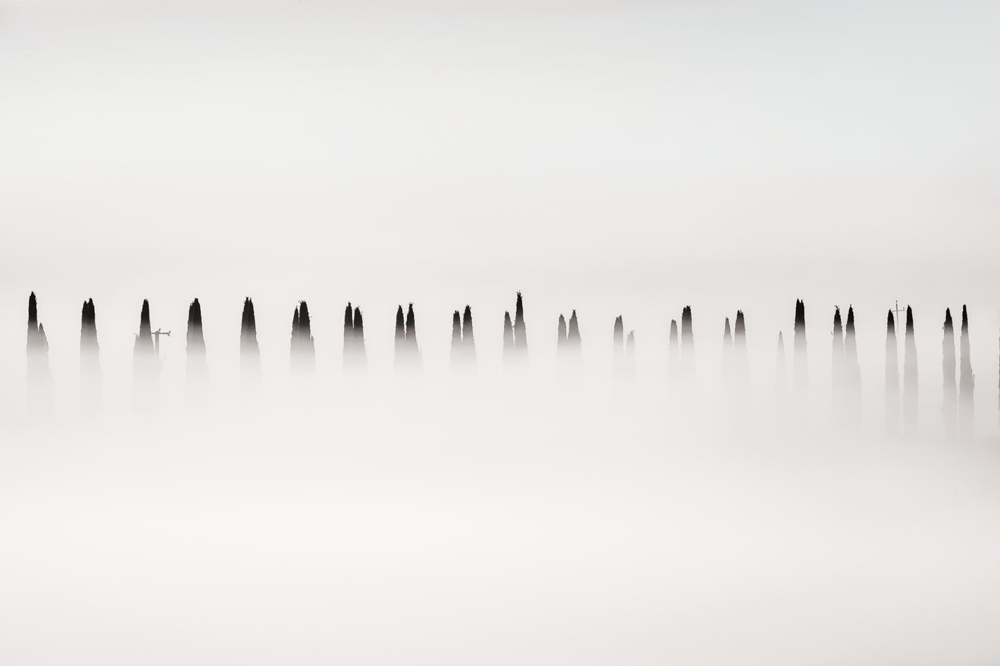 Shrouded Sentinels