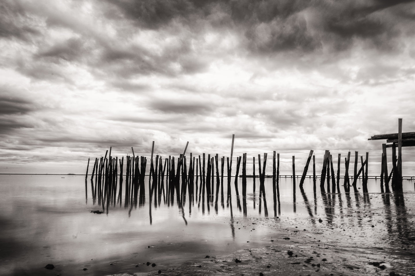 Lancy's Wharf
