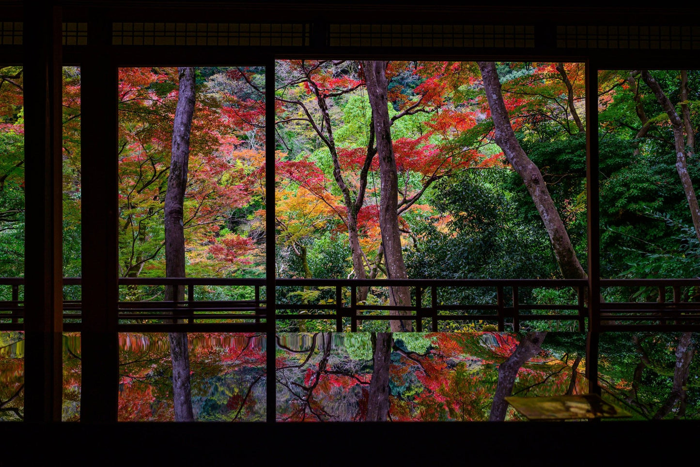 Autumn Reflections - Allie Richards Photography