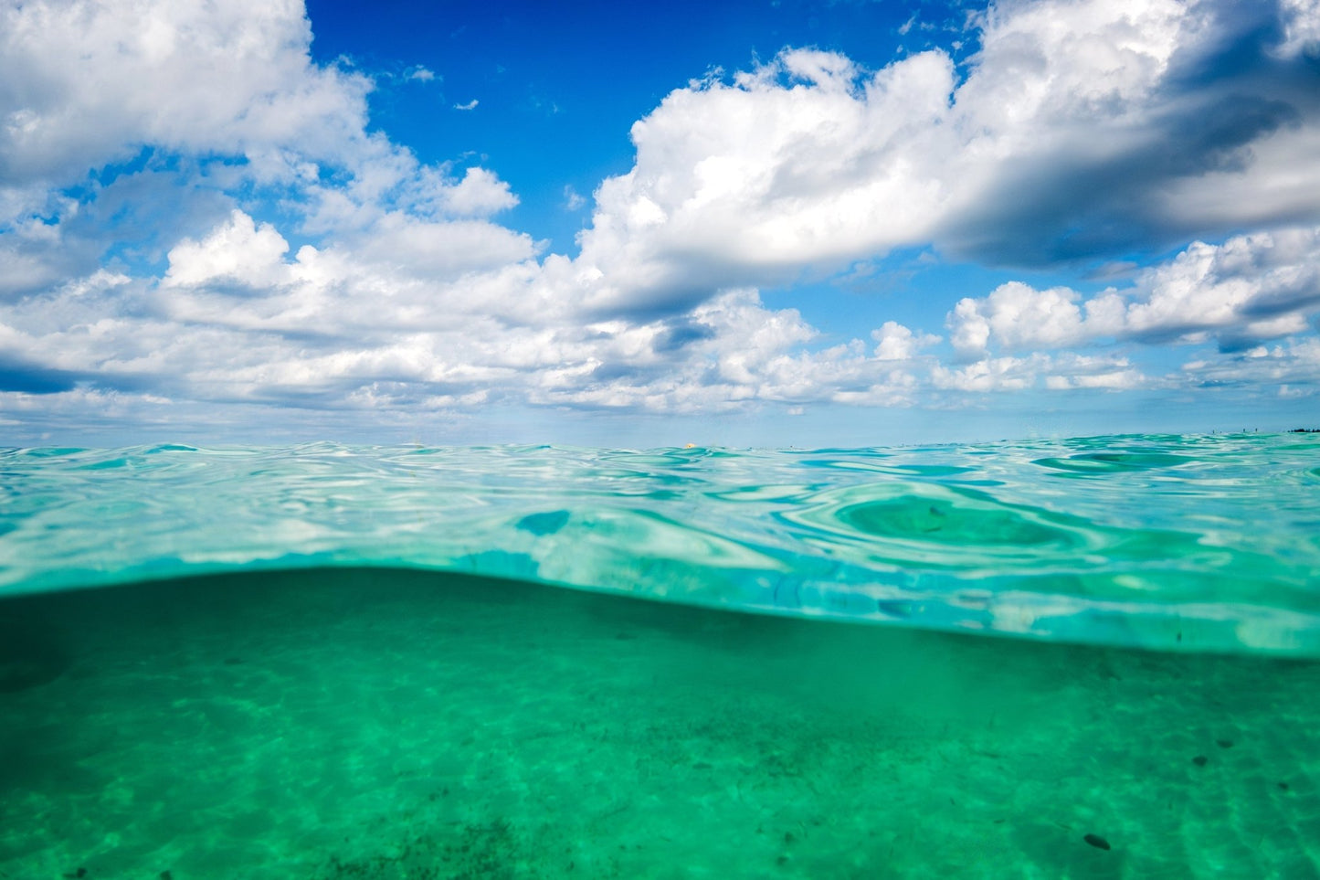 Bahama Swell - Allie Richards Photography