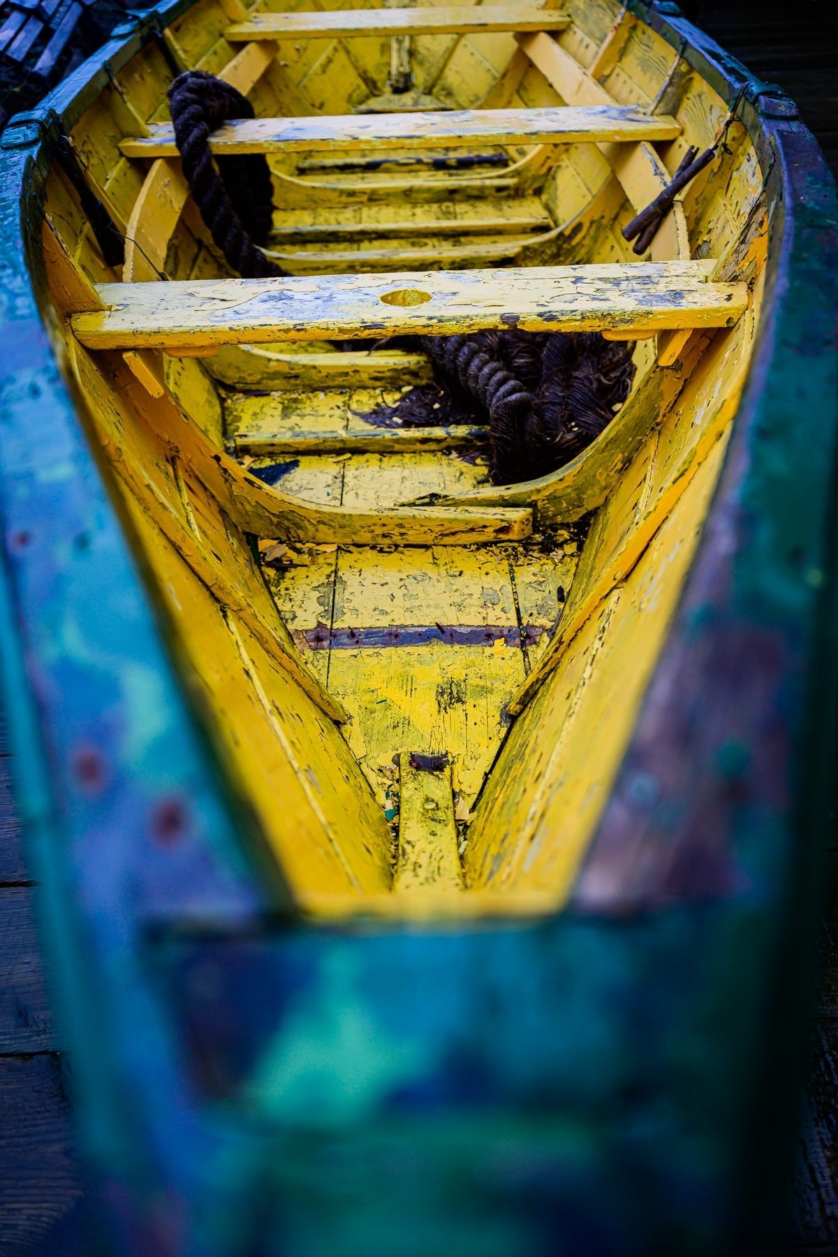 Blue & Yellow Dory - Allie Richards Photography
