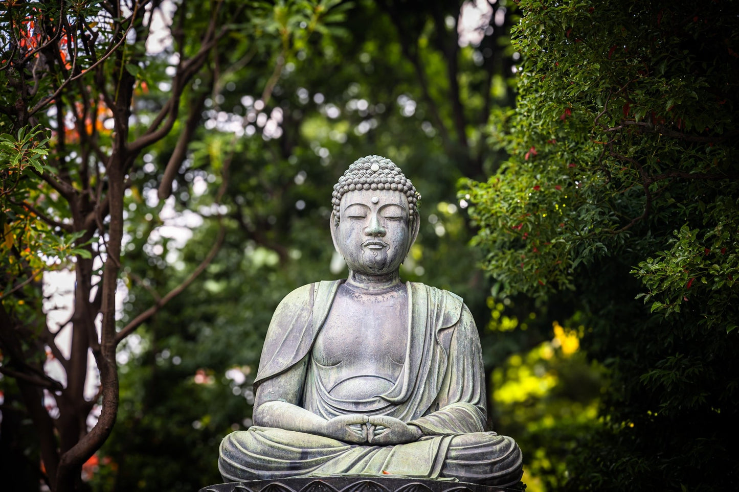 Buddha - Allie Richards Photography