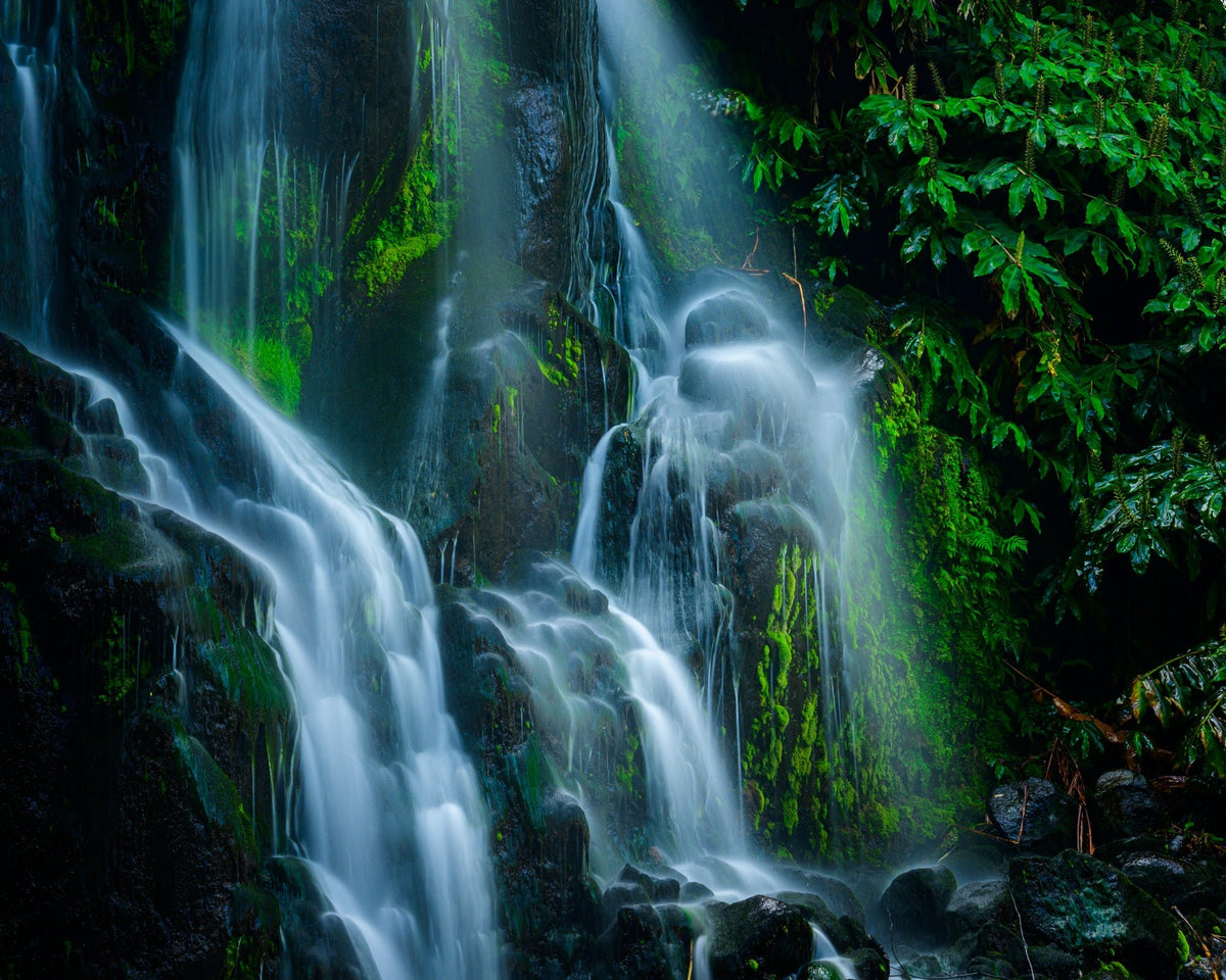 Cascade, Sao Miguel - Allie Richards Photography