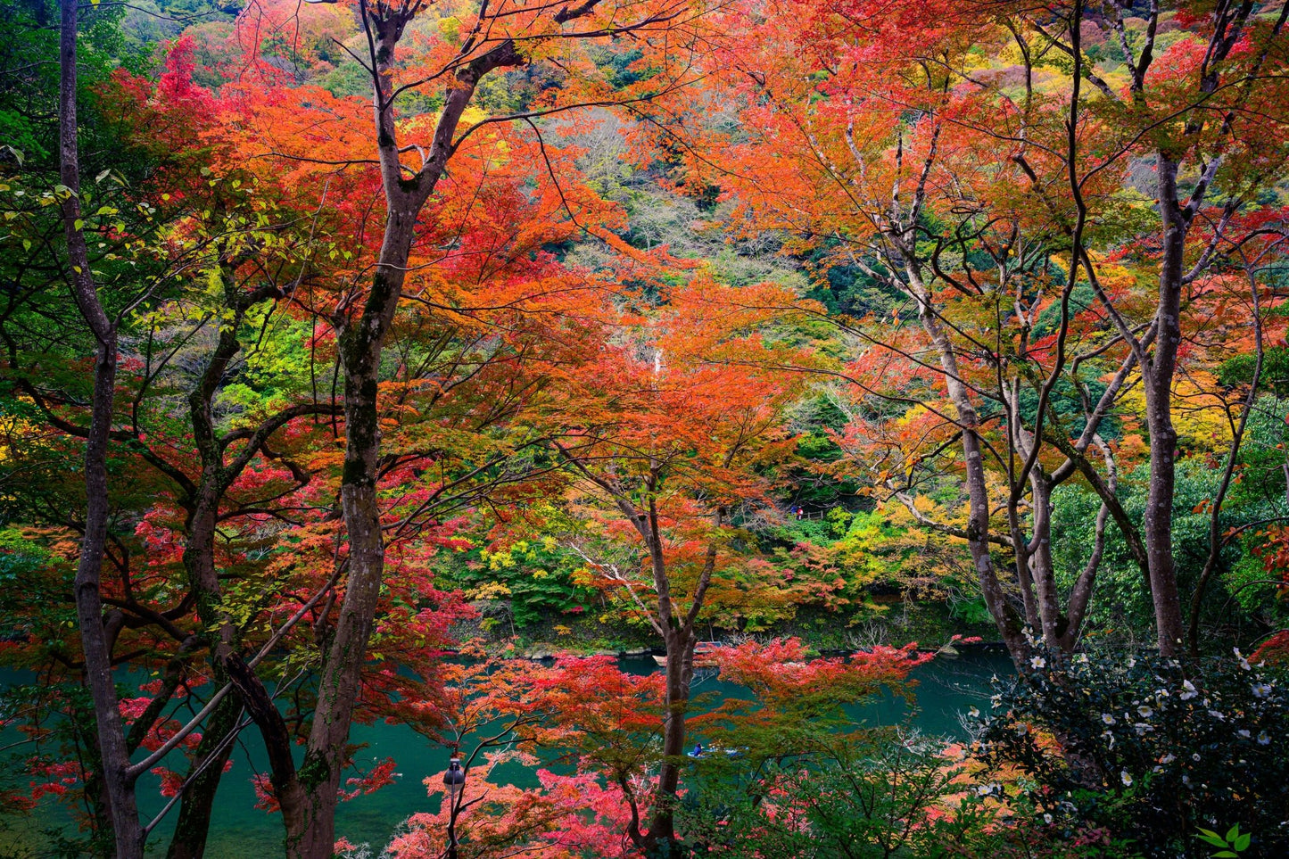 Colors of Kyoto - Allie Richards Photography