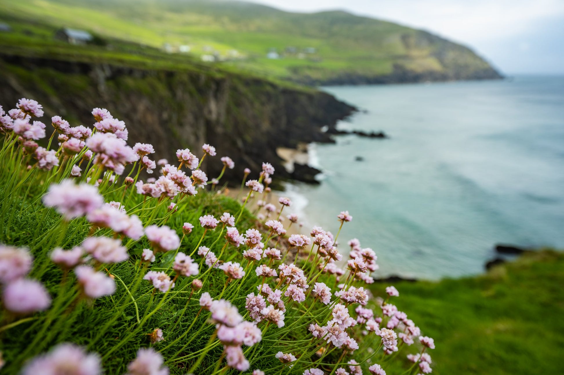 Coumeenoole Beach - Allie Richards Photography