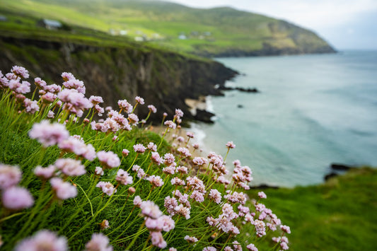 Coumeenoole Beach - Allie Richards Photography