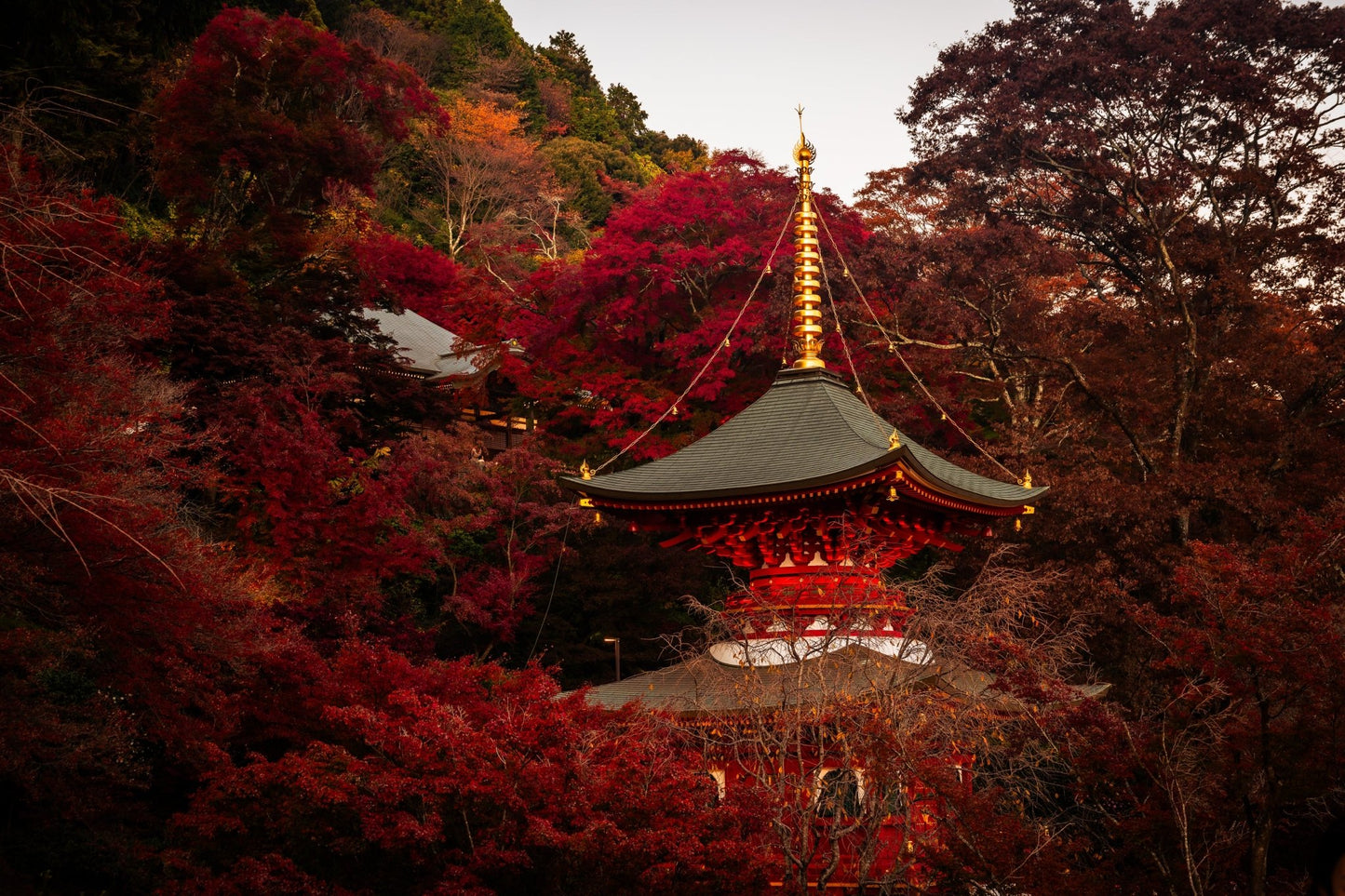 Fall at the Katsuo - Ji Pagoda - Allie Richards Photography