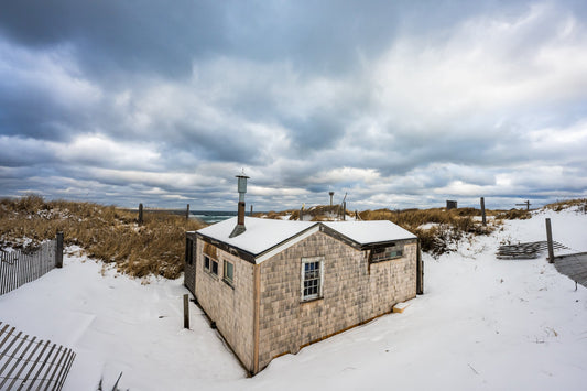 Frenchie's in the Snow - Allie Richards Photography