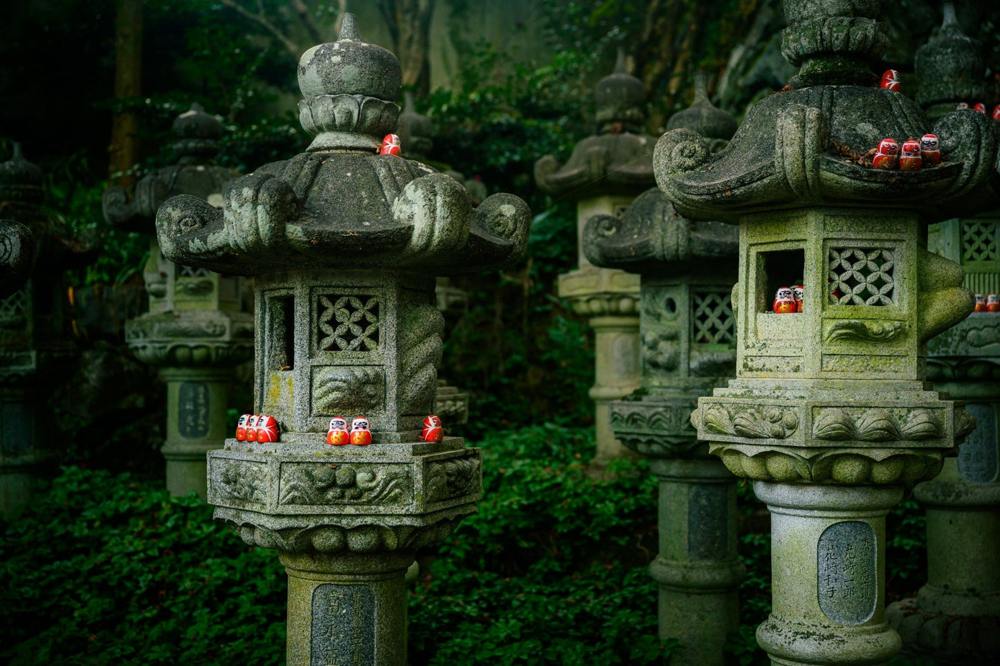 Ghibli Forest - Allie Richards Photography