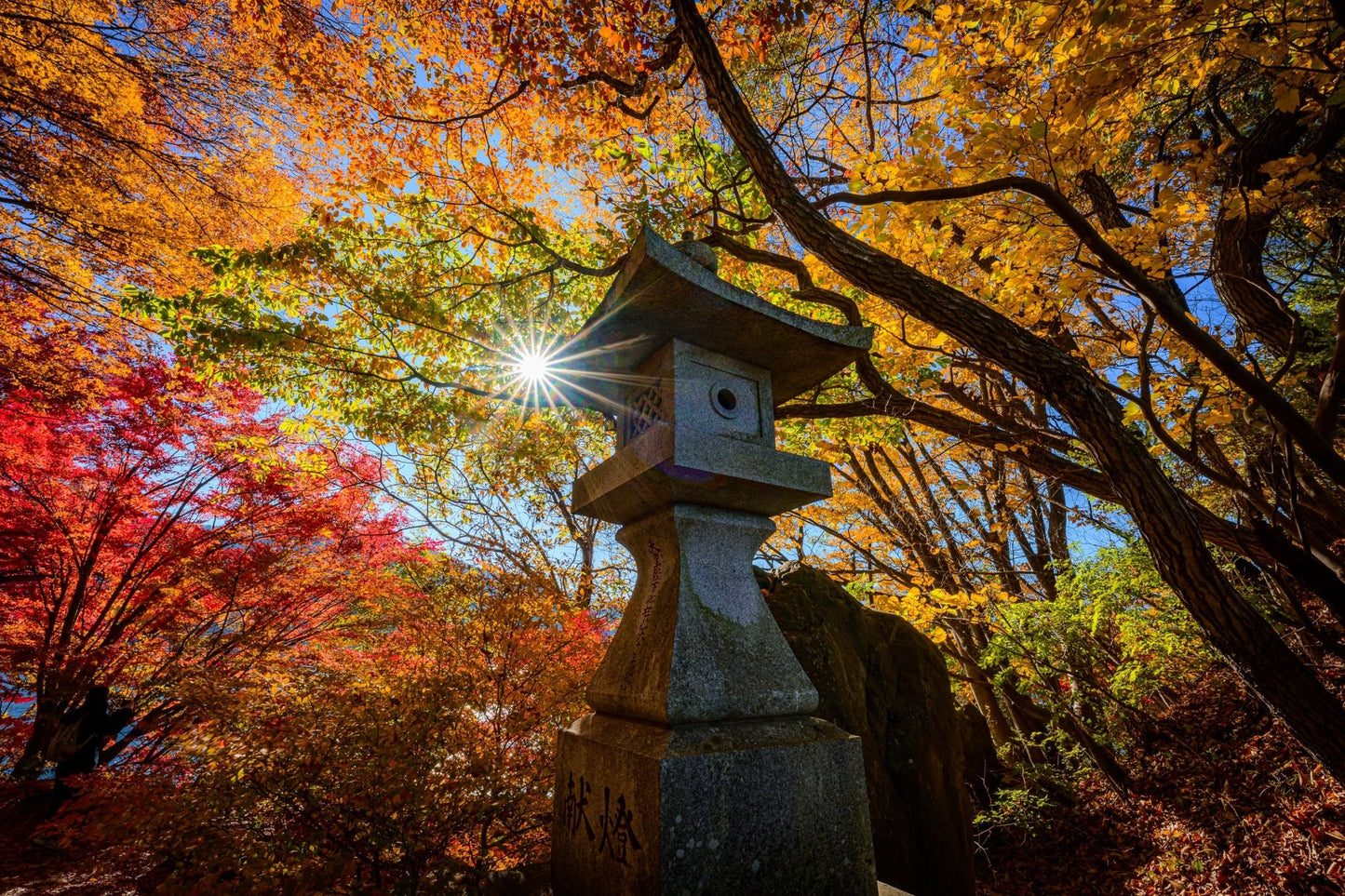 Ishi - doro - Allie Richards Photography