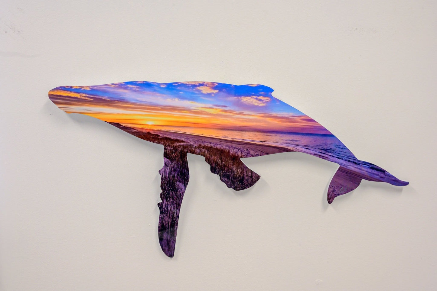 Metal Humpback Whale Sunset Print - Allie Richards Photography