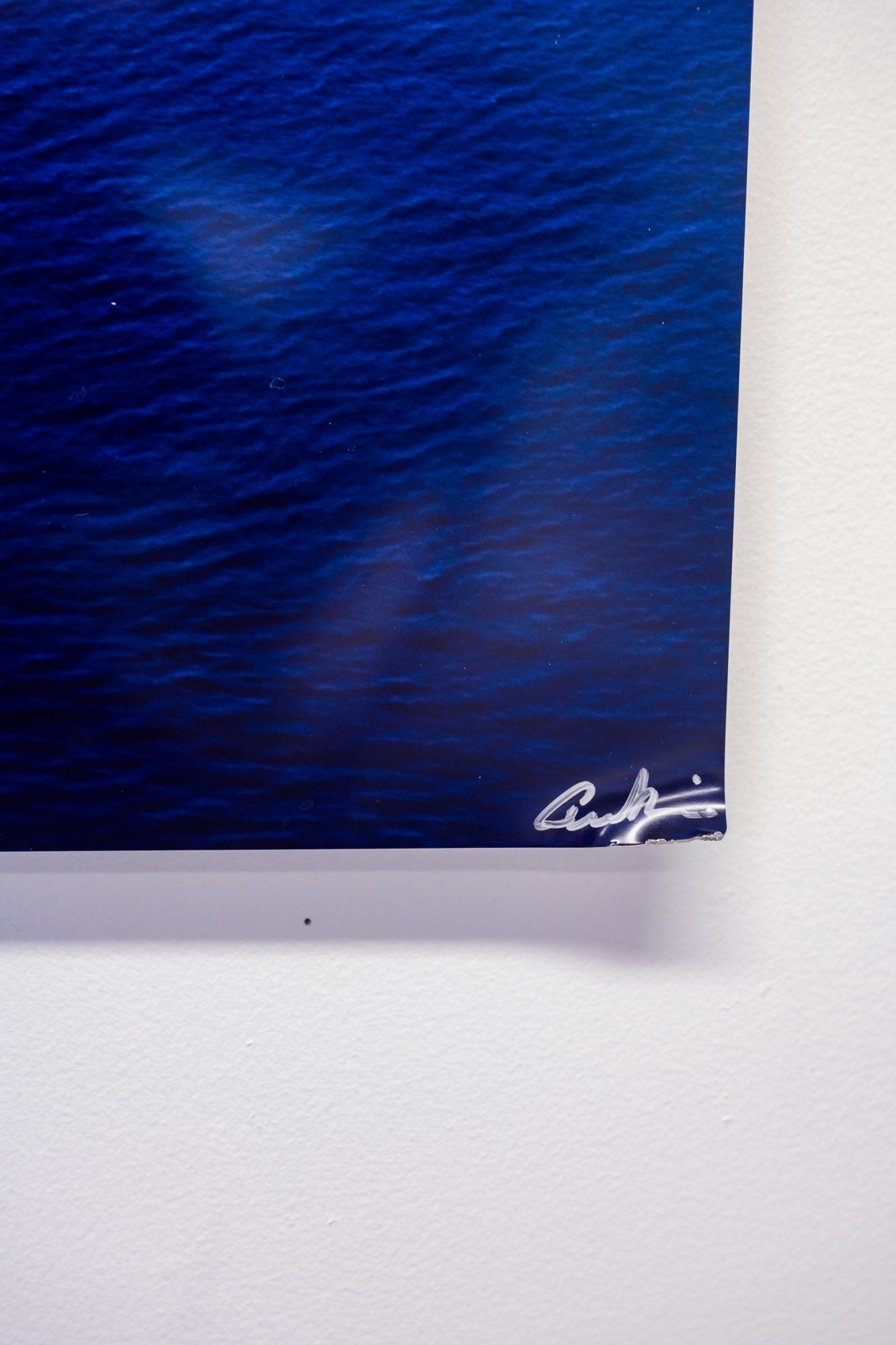 Metal Print: Sailboat 16"x24" - Allie Richards Photography