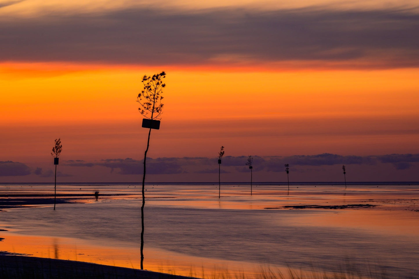 Rock Harbor Blaze - Allie Richards Photography