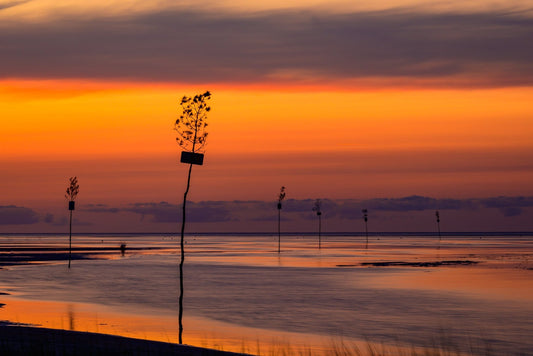 Rock Harbor Blaze - Allie Richards Photography