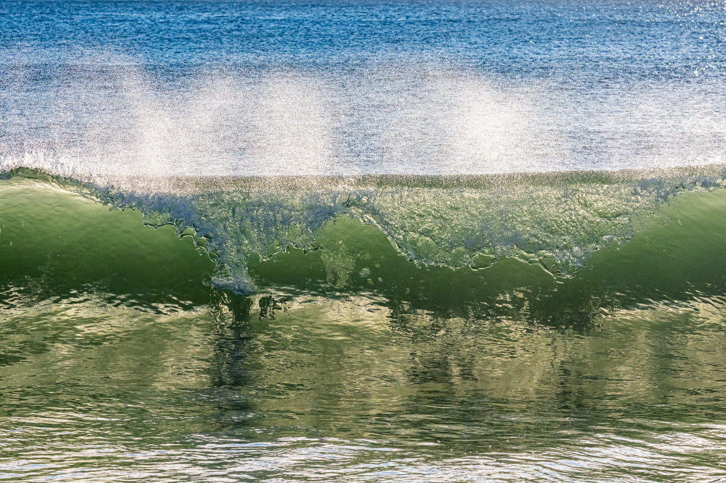 Sea Glass - Allie Richards Photography