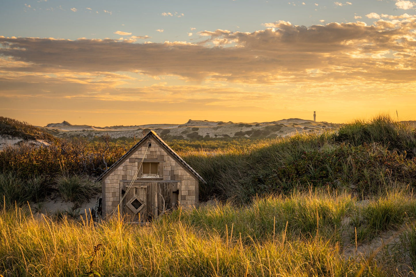 Summer in Provincetown - Allie Richards Photography