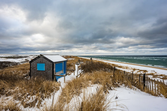Thalassa in the Snow - Allie Richards Photography