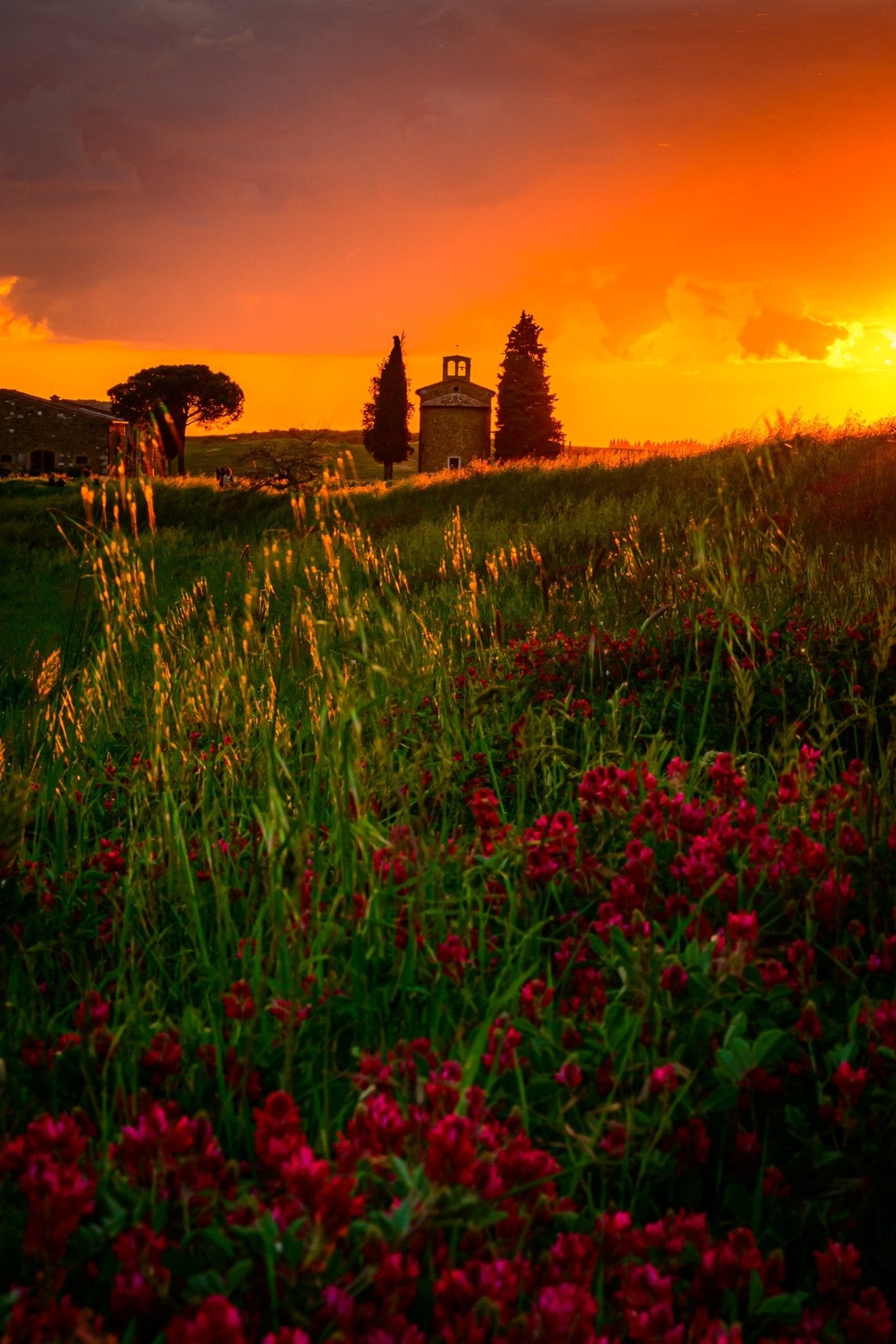 Touched by Heaven - Allie Richards Photography