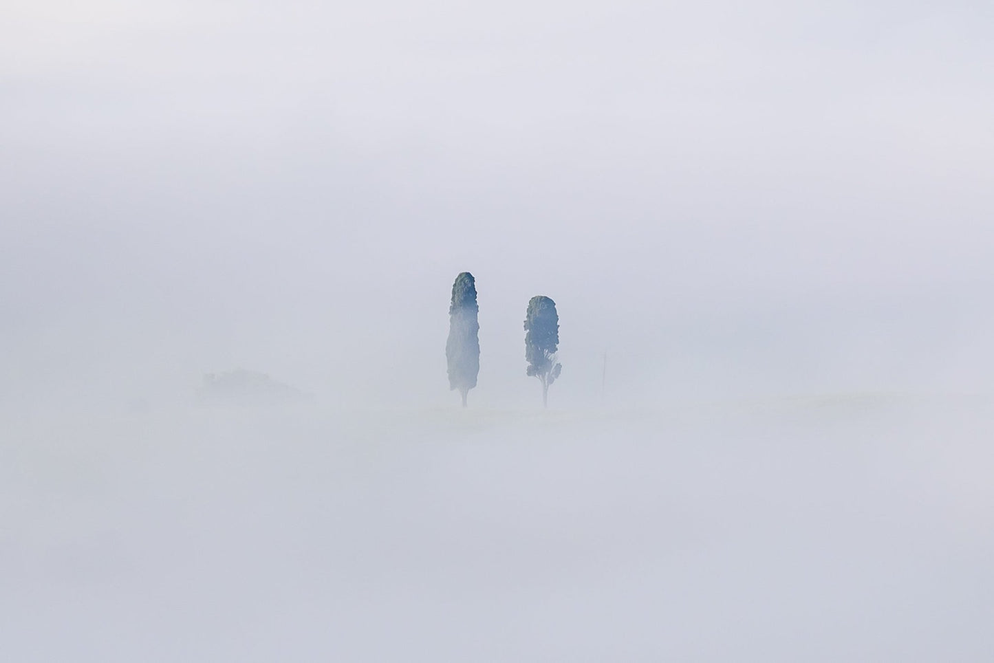 Veiled Guardians - Allie Richards Photography