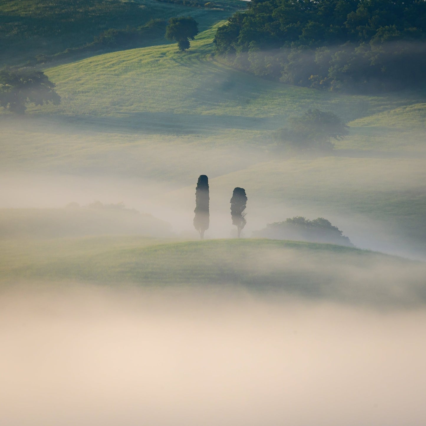 Veiled Guardians II - Allie Richards Photography