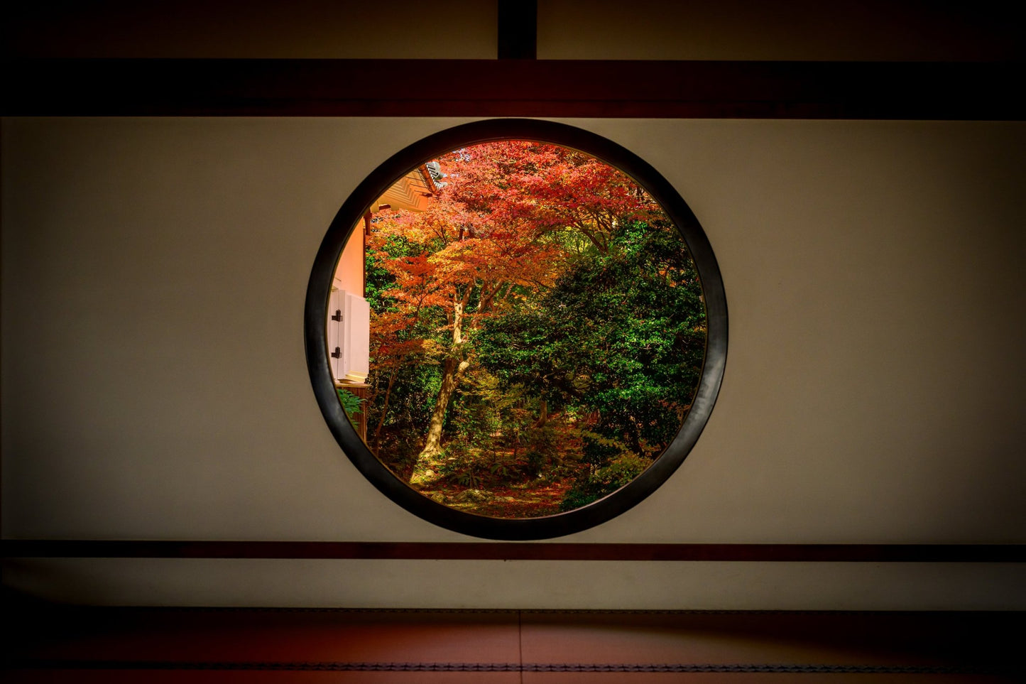 Window of Confusion - Allie Richards Photography