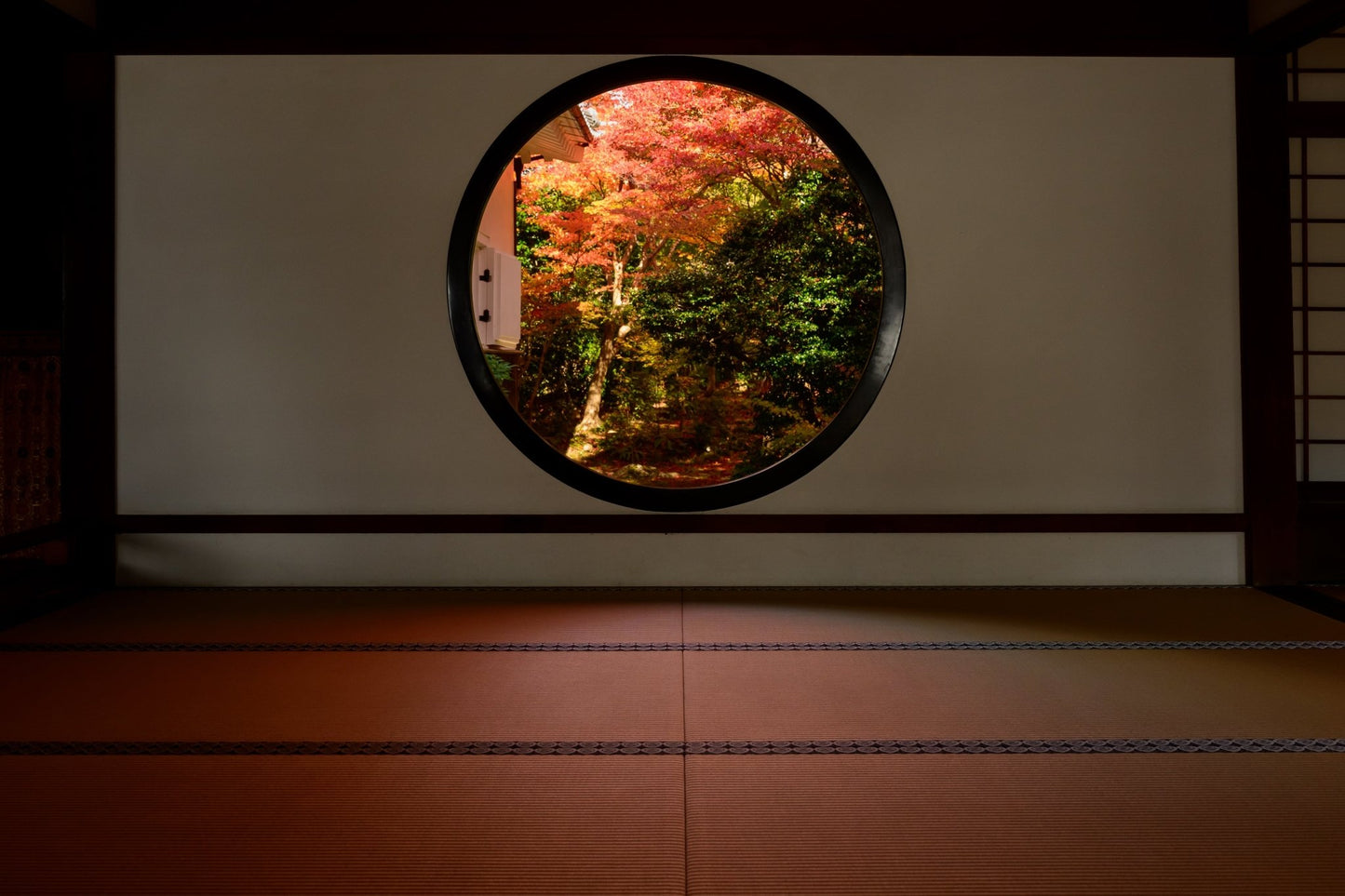 Window of Confusion II - Allie Richards Photography