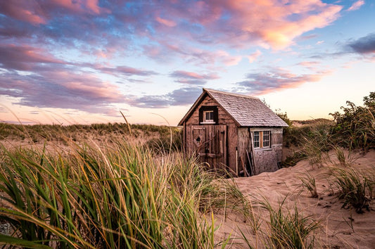 Autumn in the Dunes - Allie Richards Photography