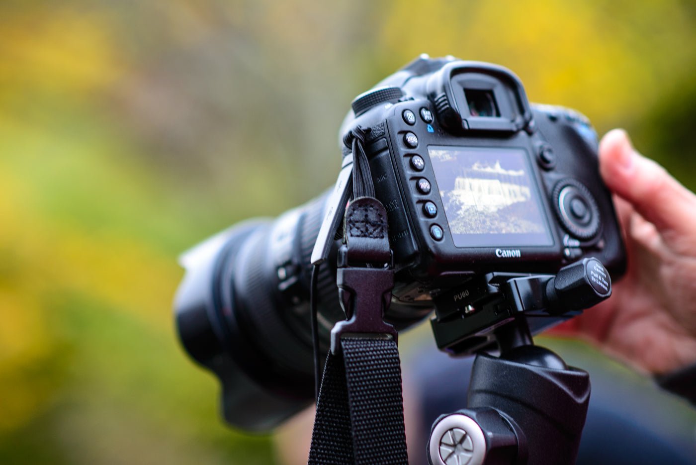 Beginner's Session - Allie Richards Photography
