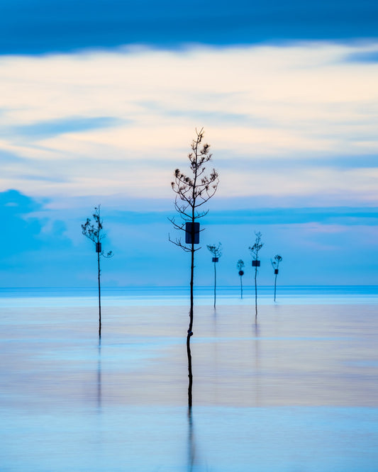 Blue Hour at Rock Harbor - Allie Richards Photography