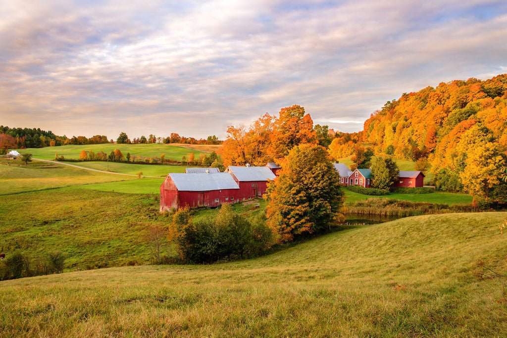 Jenne Farm - Allie Richards Photography