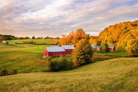 Jenne Farm - Allie Richards Photography