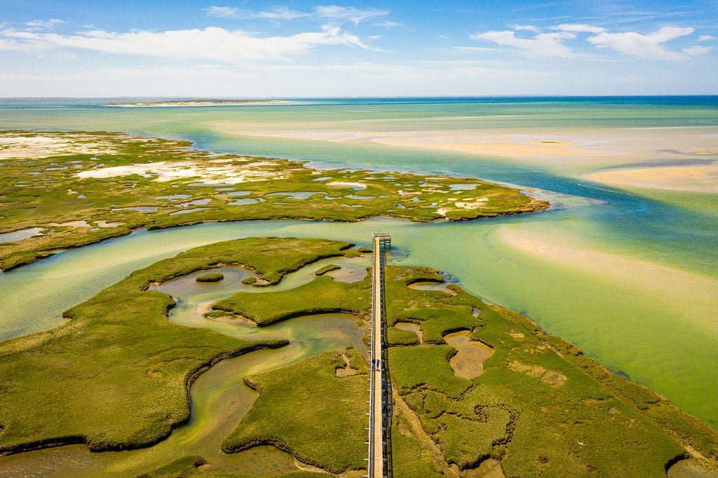 Jewel of Yarmouthport - Allie Richards Photography