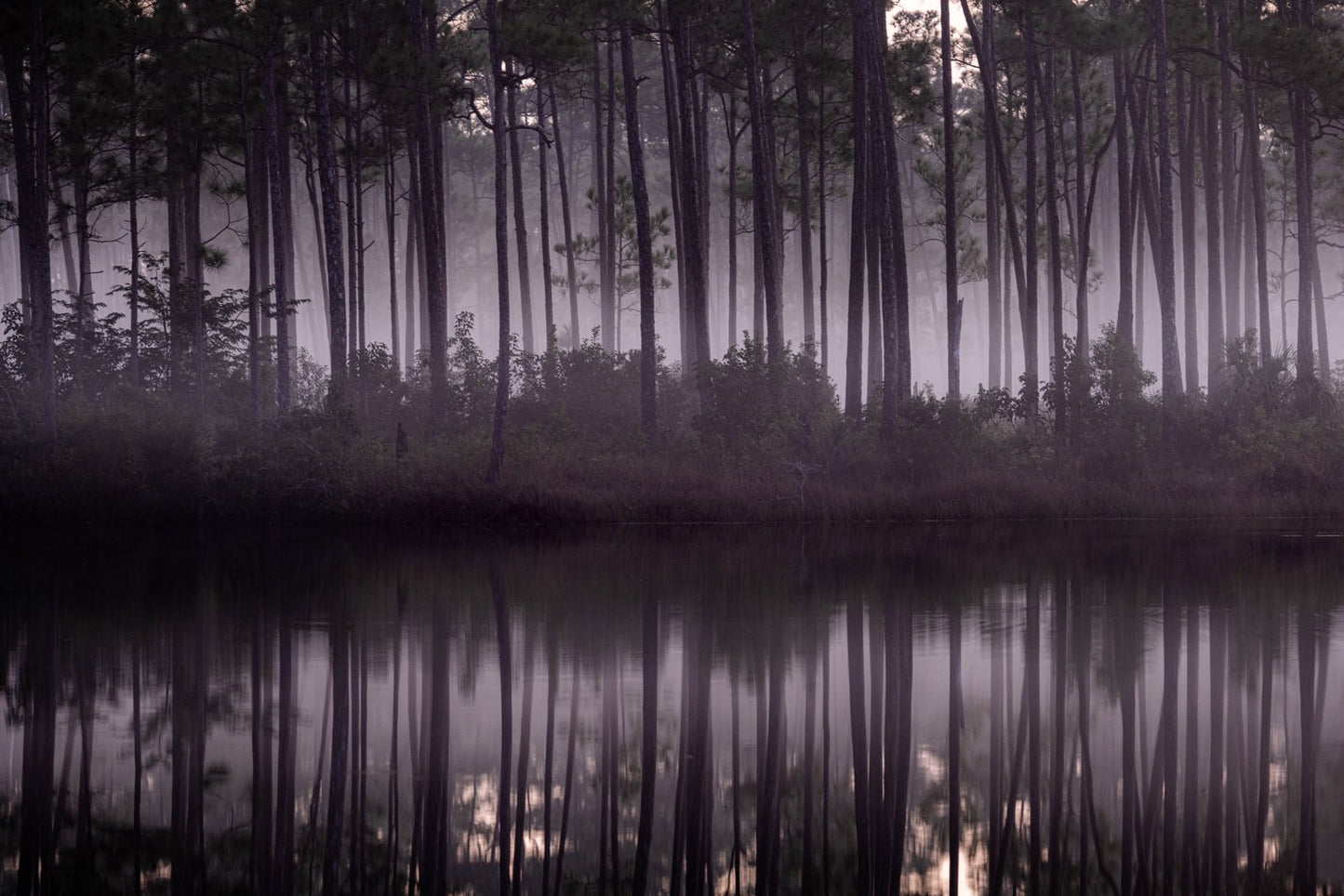 Morning Mists - Allie Richards Photography