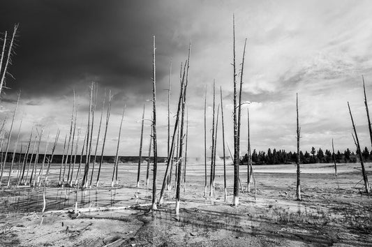 Paint Pots BW - Allie Richards Photography