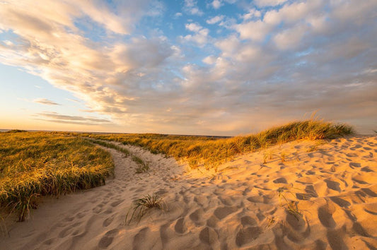 Path Through the Dunes - Allie Richards Photography