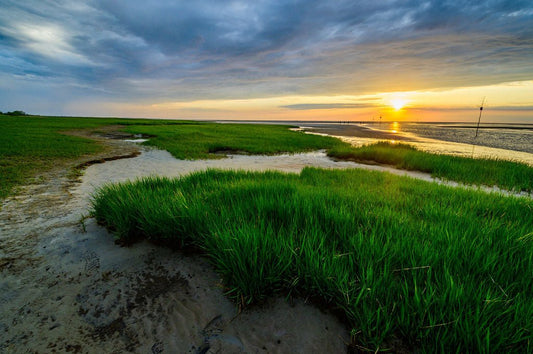 Sea Grass and Sunset - Allie Richards Photography