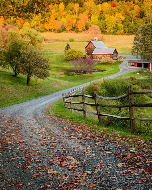 Sleepy Hollow Farm - Allie Richards Photography