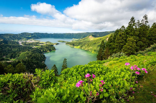 Spring at Cete Cidades