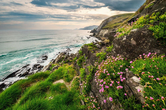 Spring at Slea Head