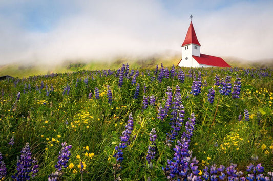 Spring in Vik - Allie Richards Photography