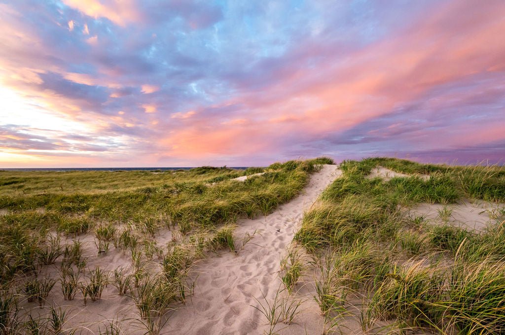 This Way to the Sea - Allie Richards Photography