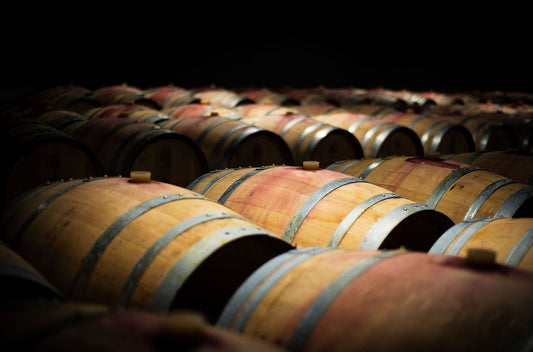 Vino - Allie Richards Photography