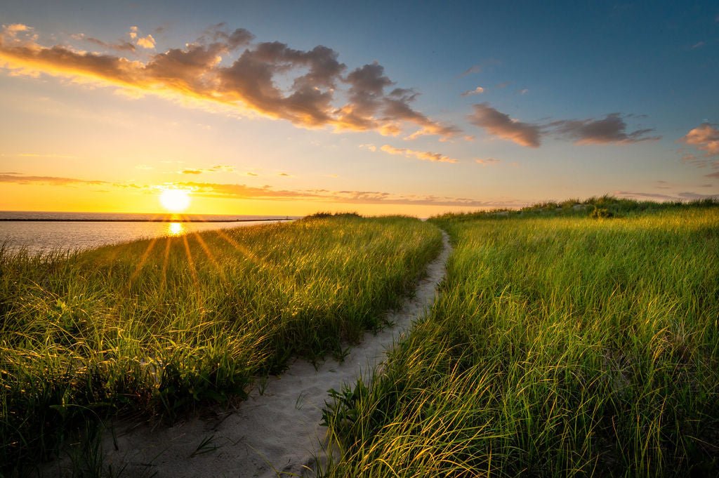 Welcome to Summer - Allie Richards Photography