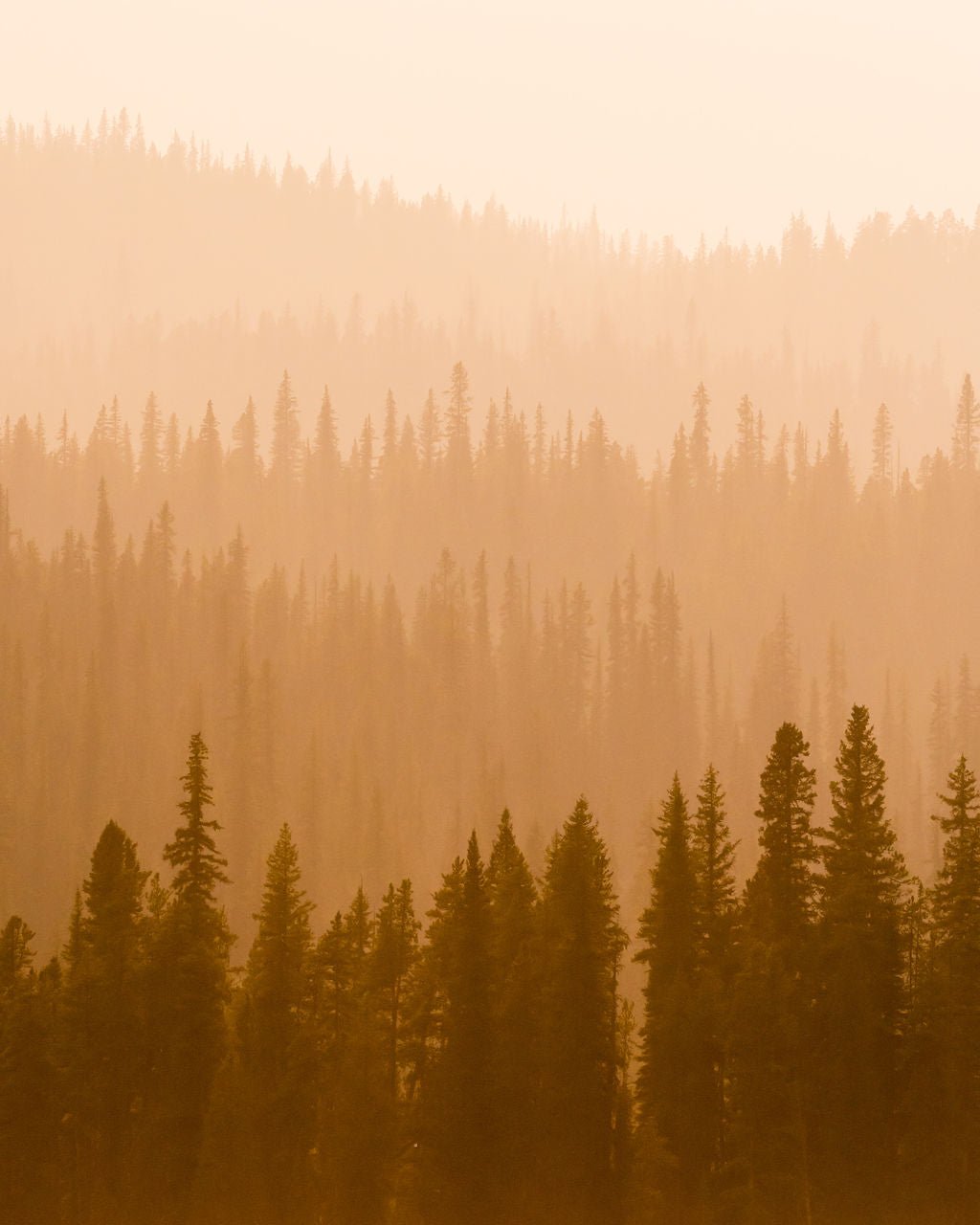 Wildfire Haze - Allie Richards Photography