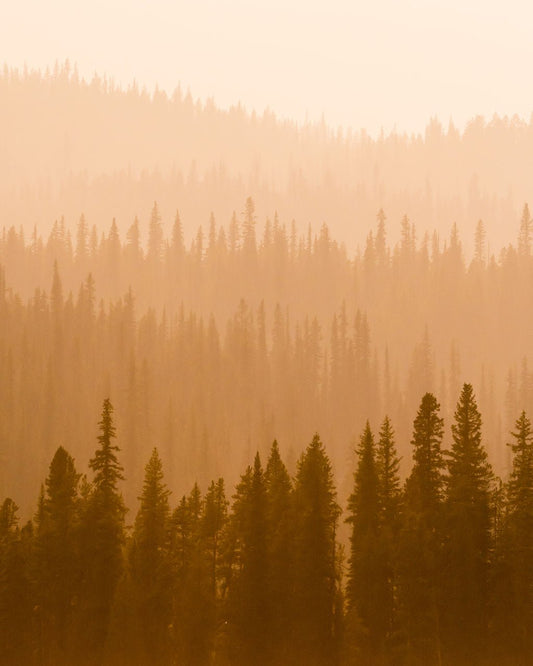 Wildfire Haze - Allie Richards Photography