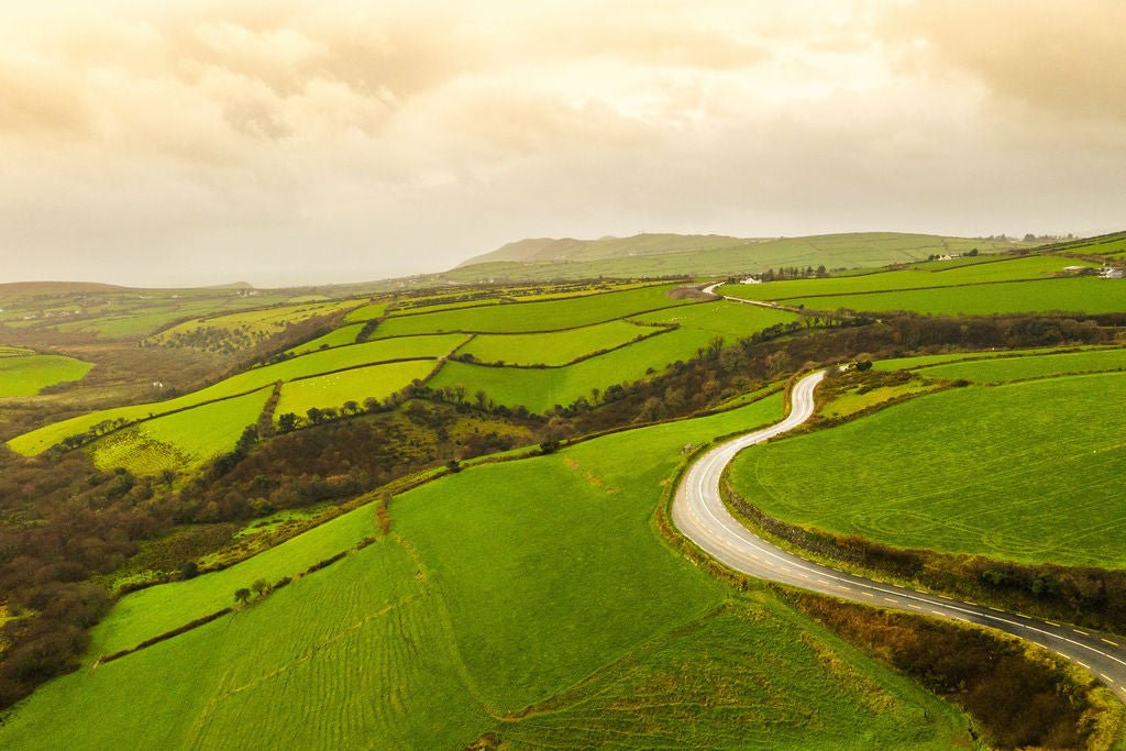 Winding Road - Allie Richards Photography