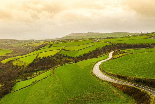 Winding Road - Allie Richards Photography