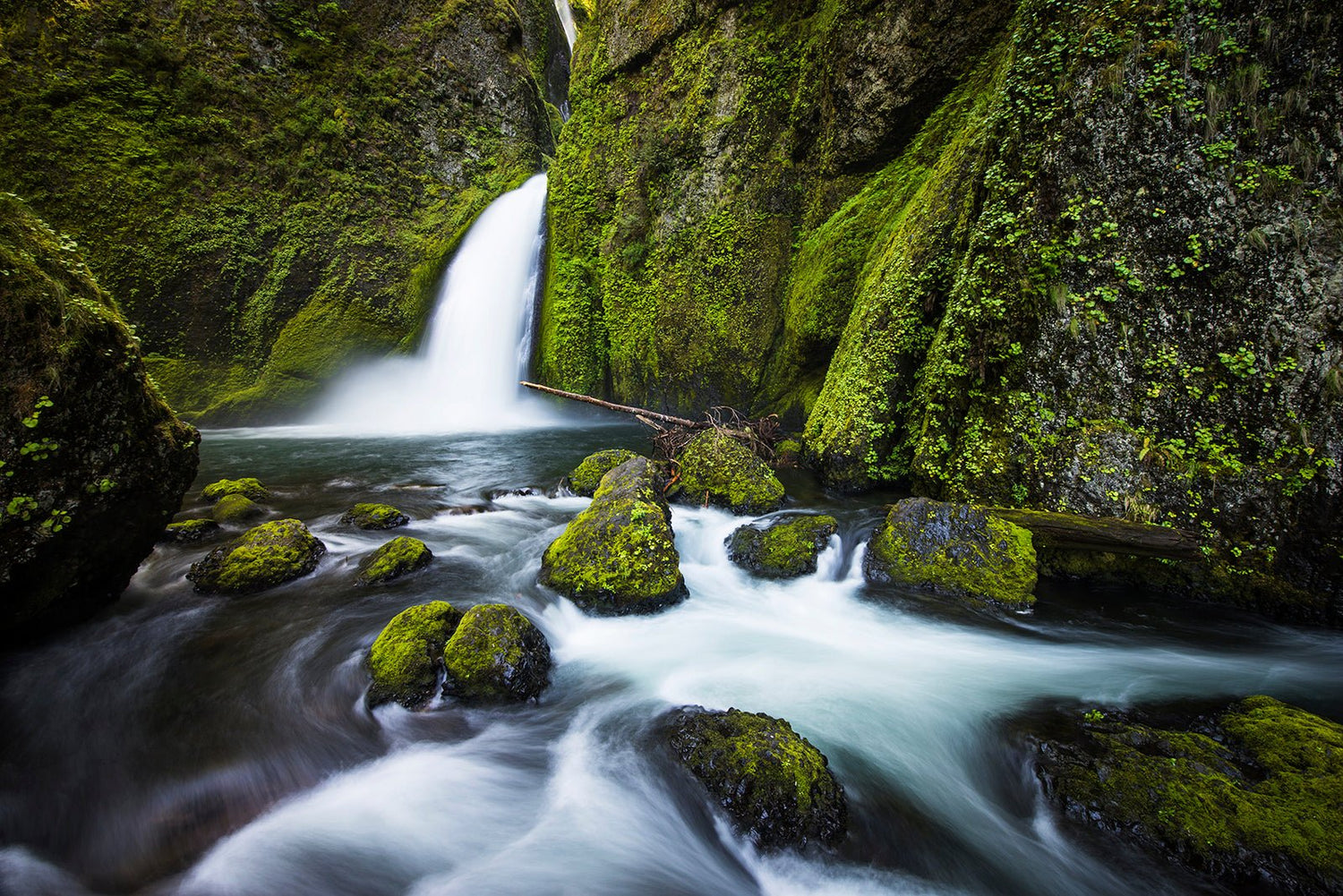 Pacific Northwest - Allie Richards Photography
